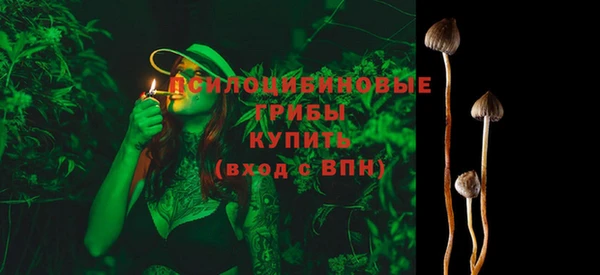 гидра Гусев