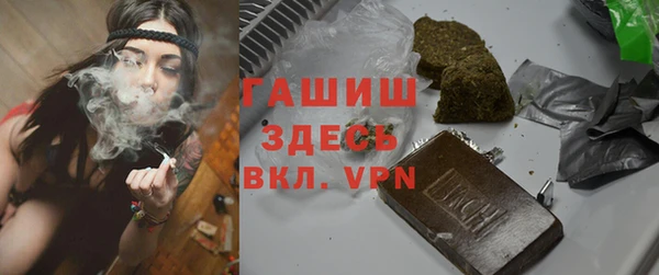 гидра Гусев