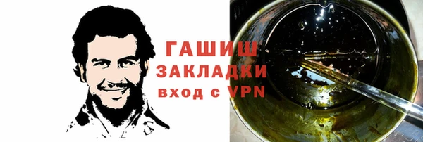 гидра Гусев