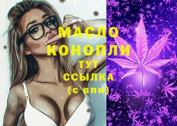 гидра Гусев