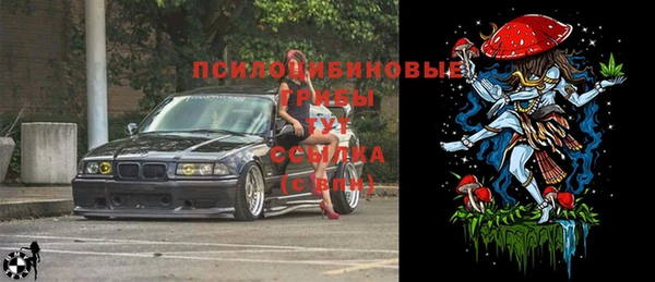гидра Гусев