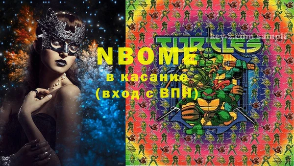 гидра Гусев